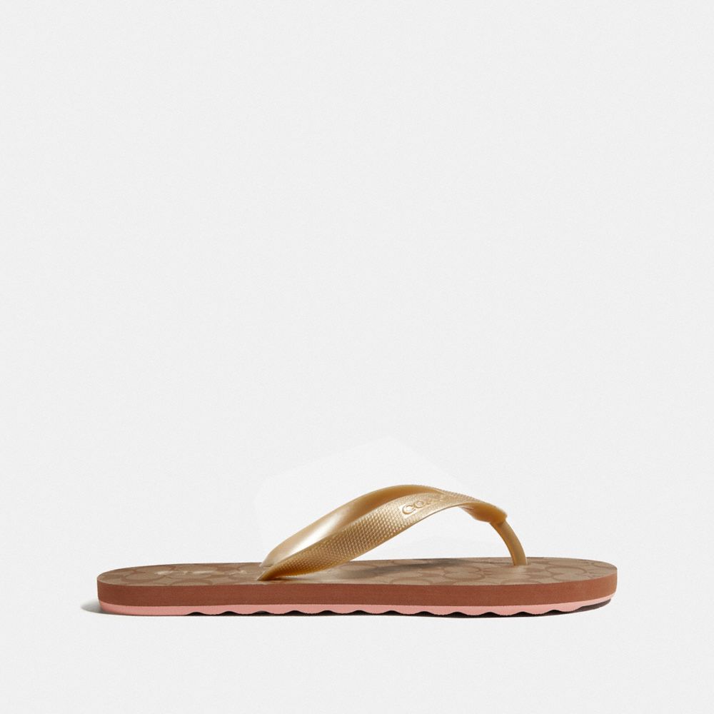 COACH Outlet Zak Flip Flop