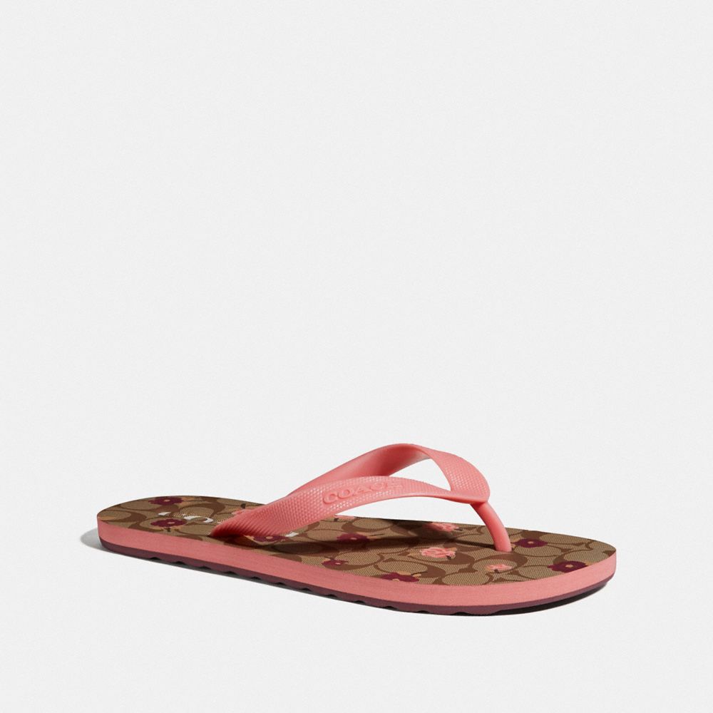 Zak flip best sale flop coach