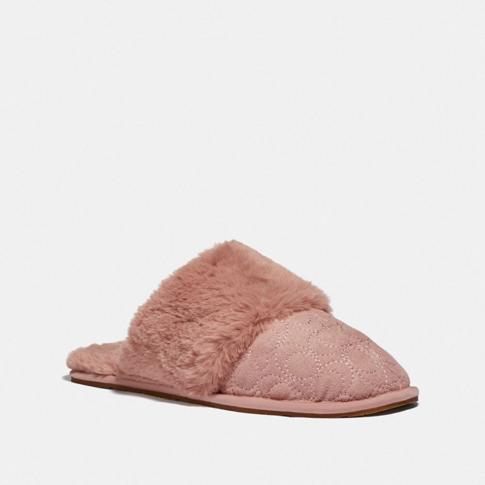 Ziva slipper coach new arrivals