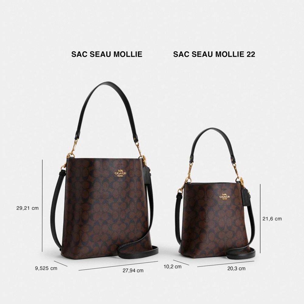 COACH®,SAC SEAU MOLLIE 22 EN TOILE EXCLUSIVE,Tissu en toile exclusif,Or/Kaki pâle/Selle pâle,Collection