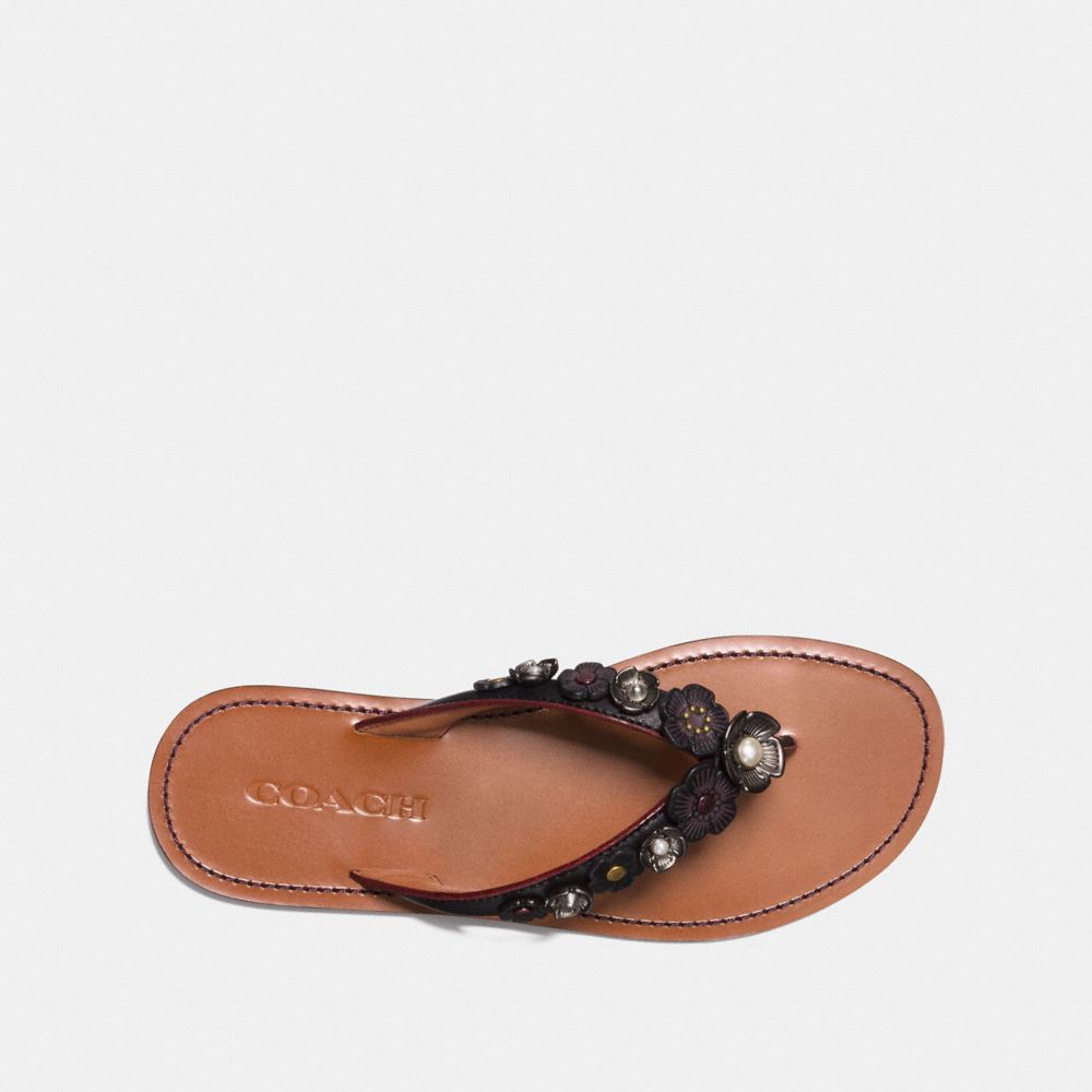 Coach tea rose discount slides