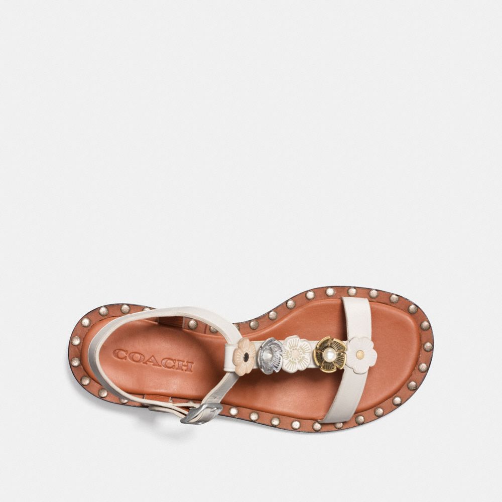 COACH® | Tea Rose T Strap Sandal