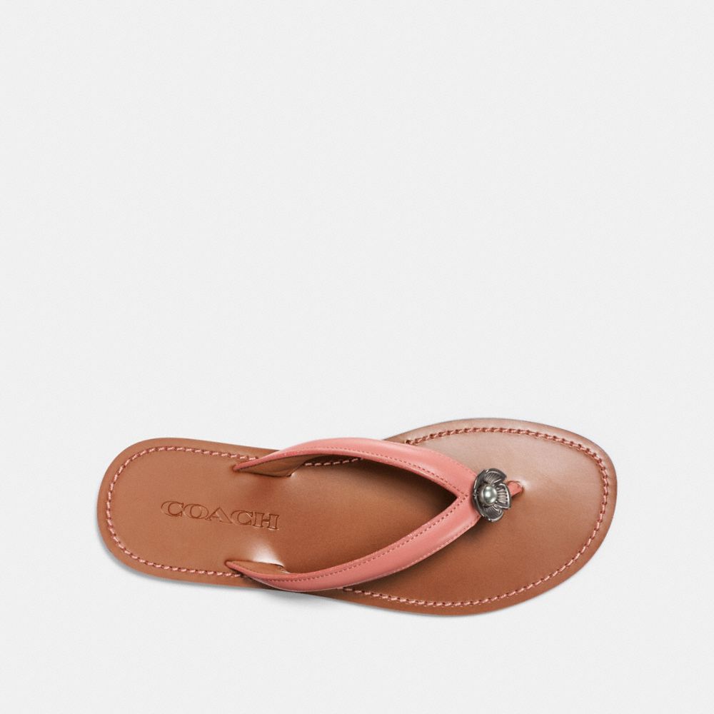 Tea Rose Flip Flop