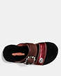 COACH®,TURNLOCK SLIDE WITH SHEARLING,Leather,Chocolate/Wine/Black,Inside View,Top View