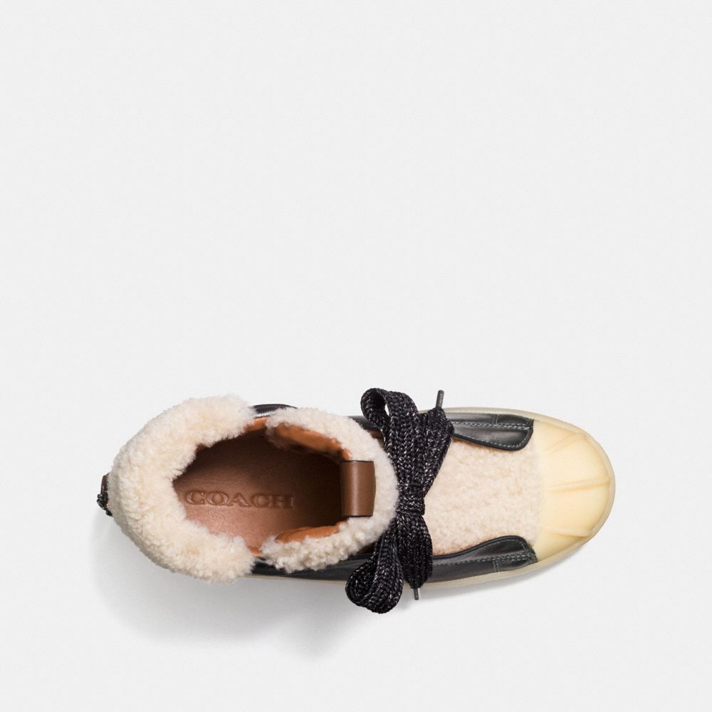 Bronce Cañón Oscuro/Natural,Vista interior, vista superior