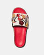 COACH®,SPORT SLIDE WITH CHERRY PATCHES,Leather,Ivory/Red,Inside View,Top View