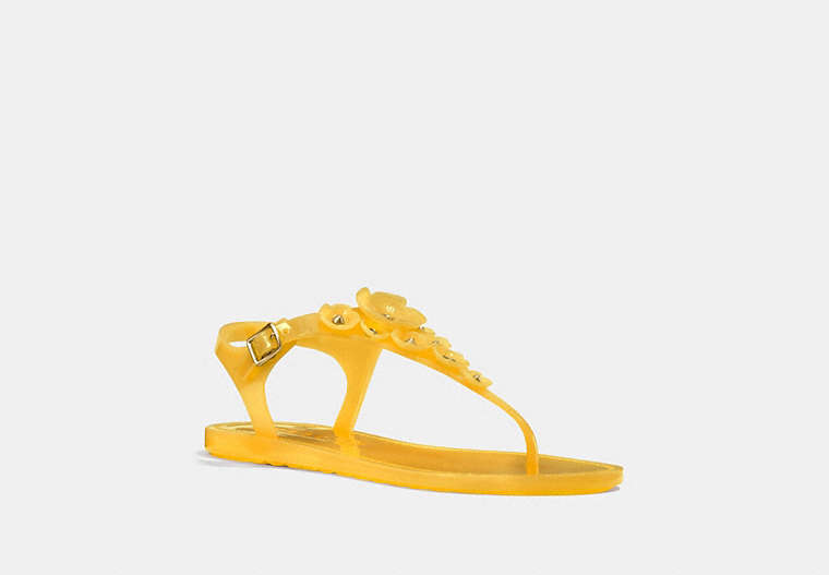 COACH®,TEA ROSE MULTI JELLY SANDAL,Rubber,CANARY,Front View