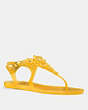 COACH®,TEA ROSE MULTI JELLY SANDAL,Rubber,CANARY,Front View