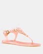 COACH®,TEA ROSE MULTI JELLY SANDAL,Rubber,PEONY,Front View