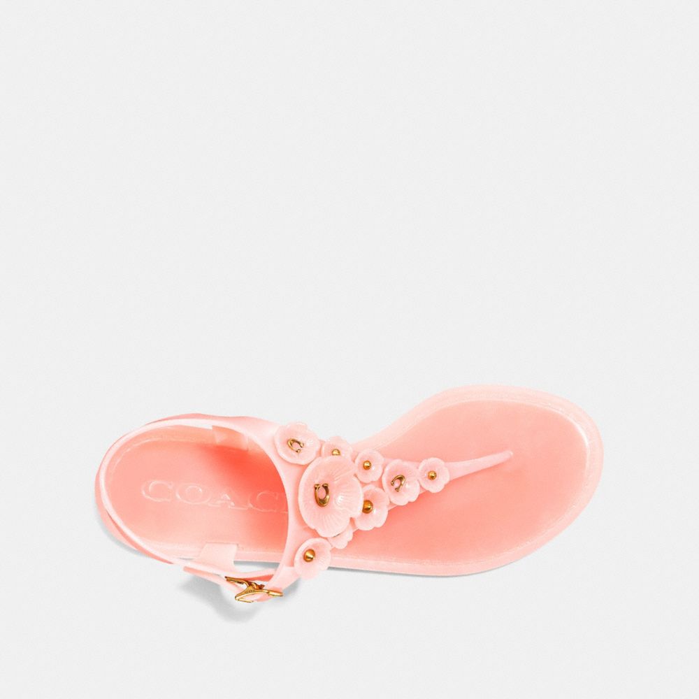 COACH Tea Rose Multi Jelly Sandal