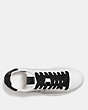 COACH®,COACH X KEITH HARING C101 LOW TOP SNEAKER,Leather,White/Black,Inside View,Top View