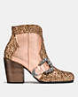 COACH®,WESTERN BUCKLE BOOTIE,Mixed Material,Rose Gold/Rose Gold,Angle View