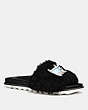 COACH®,COACH X KEITH HARING SLIDE,Suede,Black,Front View