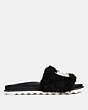 COACH®,COACH X KEITH HARING SLIDE,Suede,Black,Angle View