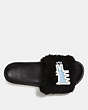 COACH®,COACH X KEITH HARING SLIDE,Suede,Black,Inside View,Top View