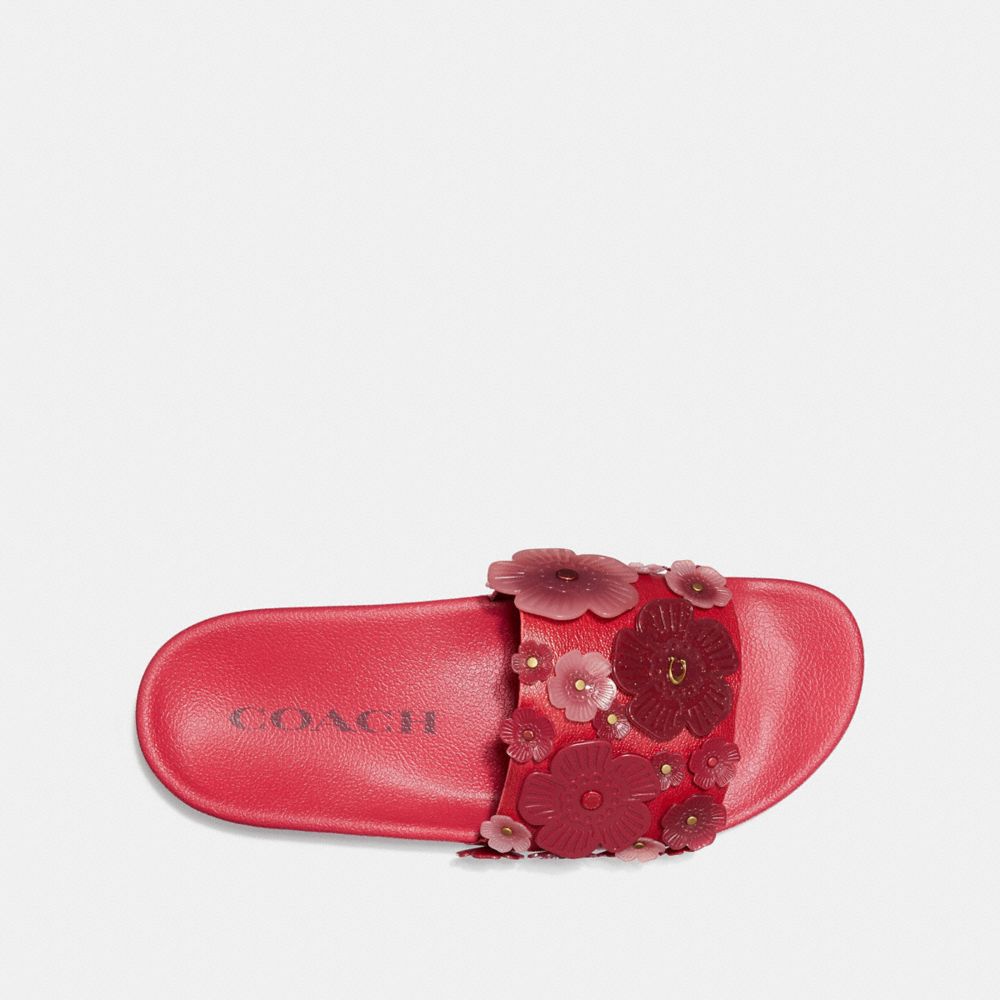 Coach sport slide hot sale with tea rose