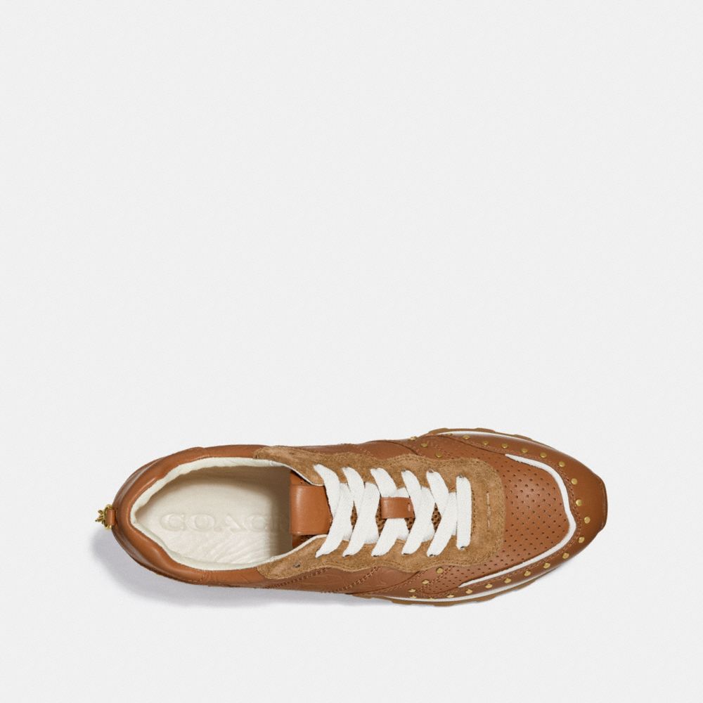 Cacahuete,Vista interior, vista superior