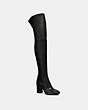 Giselle Over The Knee Boot