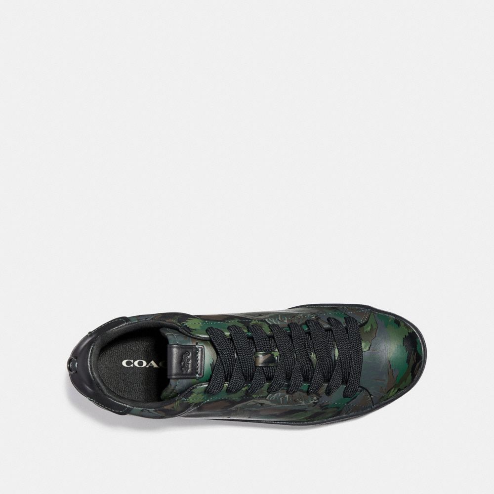 C101 Avec Paysage Western