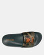 COACH®,VANDAL GUMMY COACH EDITION SLIDE,Coated Canvas,MILITARY WILD BEAST,Inside View,Top View