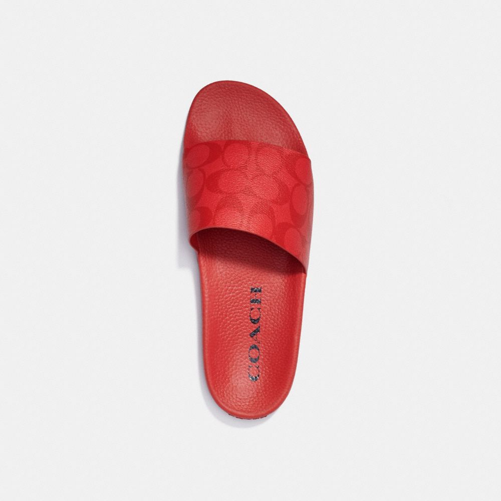 Coach best sale outlet slides