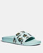COACH®,SLIDE WITH PRINT,Coated Canvas,Dino Palm Light Blue,Front View