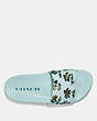 COACH®,SLIDE WITH PRINT,Coated Canvas,Dino Palm Light Blue,Inside View,Top View