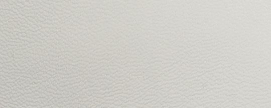COACH®,C101 Low Top Espadrille,