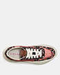 C143 Espadrille Runner With Mix Posey Cluster Print