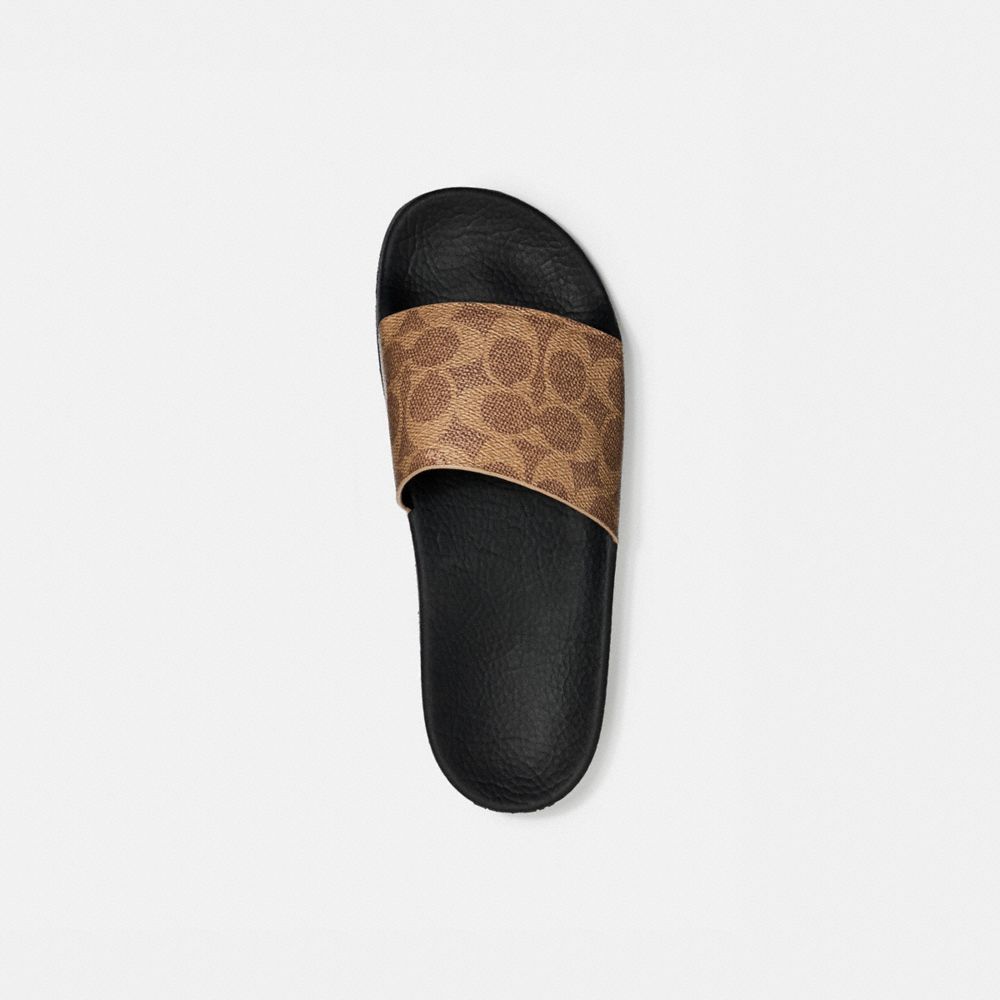 Coach udele sport online slides