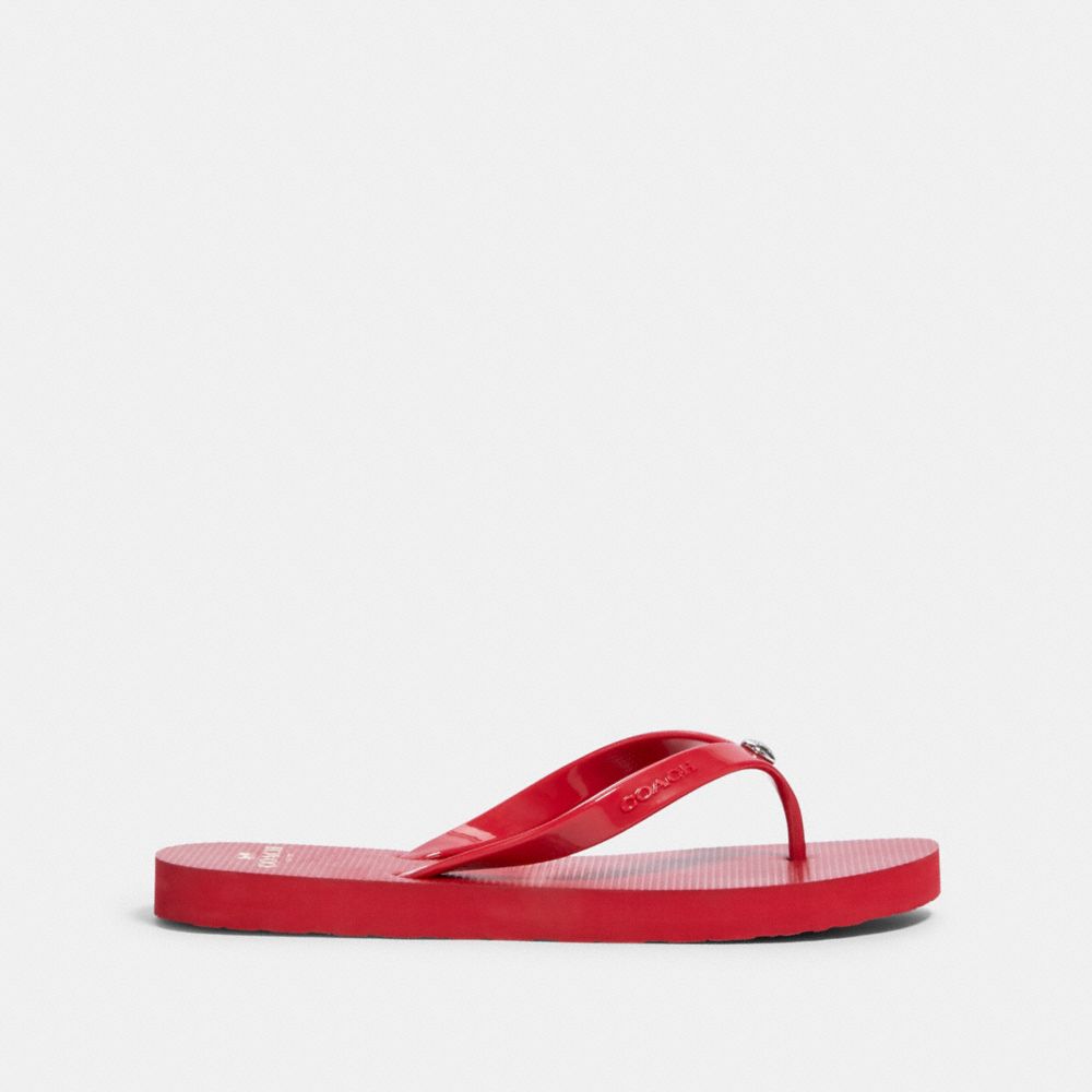 Coach outlet store flip flops