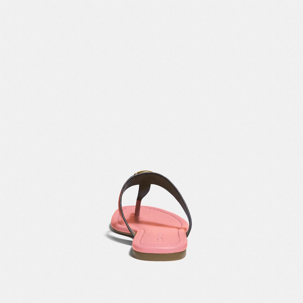 COACH Jessie Sandal