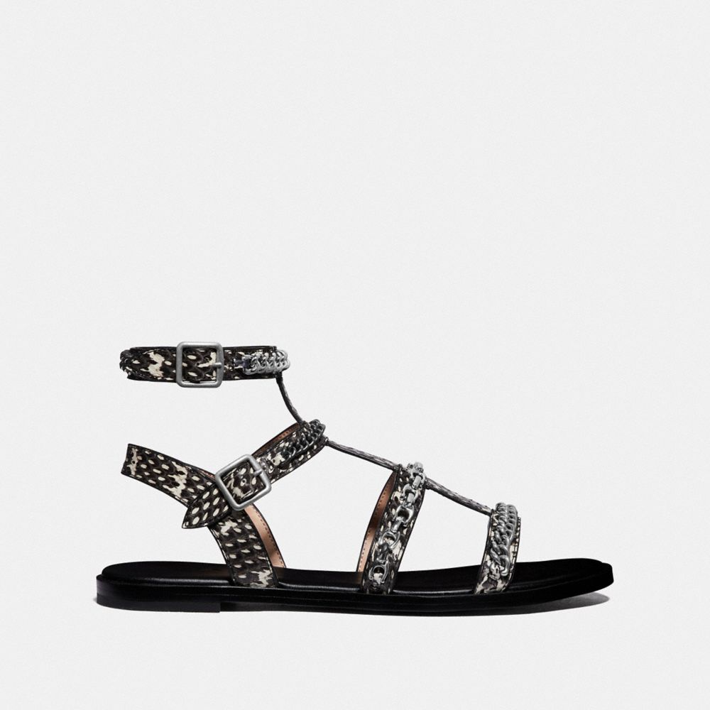 Coach haddie 2025 gladiator sandal