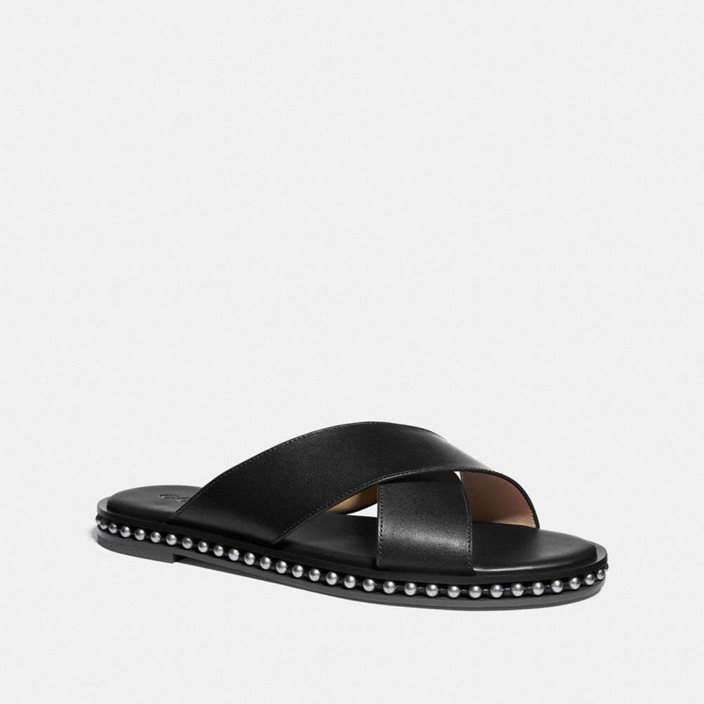 Negro,Vista frontal