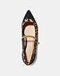 COACH®,COACH X TABITHA SIMMONS HARRIETTE FLAT,Leather/Suede,Natural/Peanut,Inside View,Top View