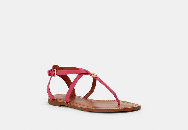 COACH®,LYDIA SANDAL,Leather,Hyacinth,Front View