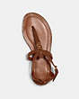 COACH®,LYDIA SANDAL,Leather,Saddle,Inside View,Top View