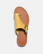 COACH®,LUCA SANDAL,Leather,Sunlight,Inside View,Top View