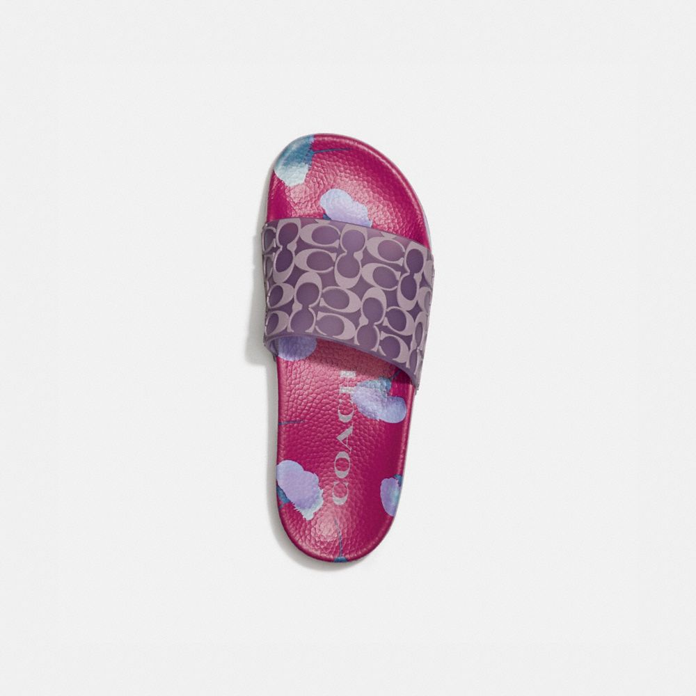 COACH®,TOBOGGAN UDELE SPORT,Caoutchouc,Sauge/Lilas Doux,Inside View,Top View