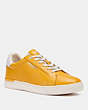 COACH®,CLIP LOW TOP SNEAKER,Leather,Ochre,Front View