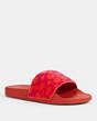 COACH®,ULI SPORT SLIDE,Synthetic,Salmon/Pink,Front View