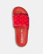 COACH®,ULI SPORT SLIDE,Synthetic,Salmon/Pink,Inside View,Top View