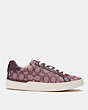 COACH®,CLIP LOW TOP SNEAKER,Jacquard,Med Burgundy,Angle View