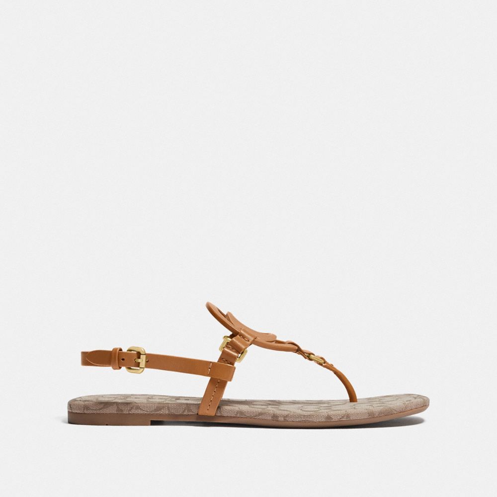 Jeri Sandal COACH