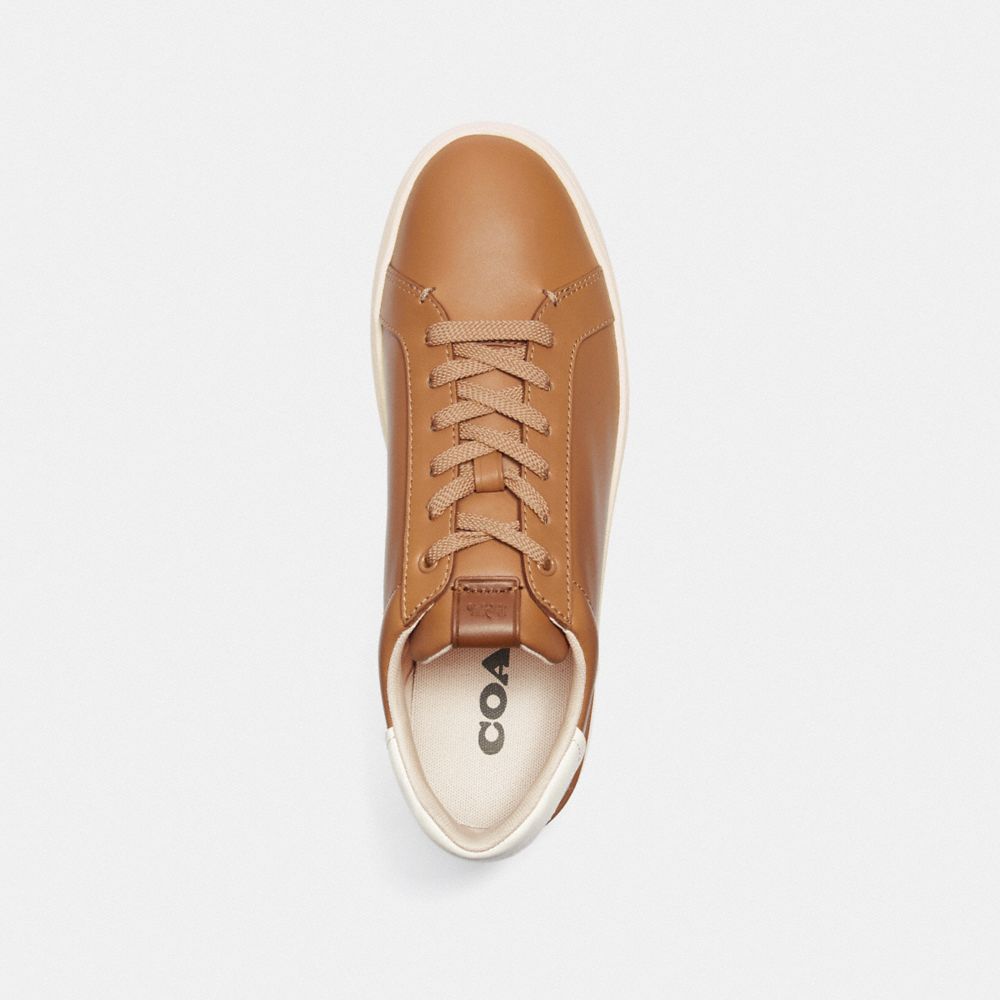 Lowline Low Top Sneaker