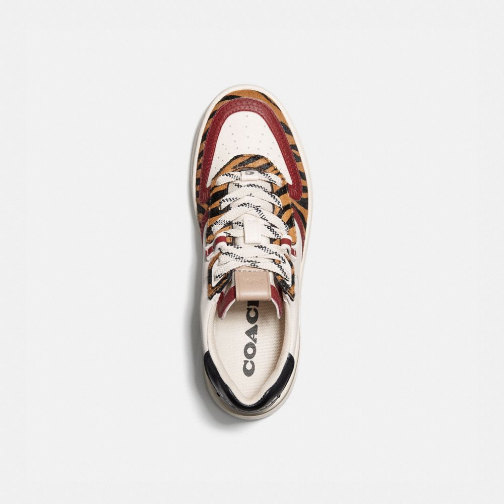 Shop Coach SIGNATURE Citysole Court Sneaker (C8965) by sh1nach1ku