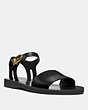 COACH®,ANKLE STRAP SANDAL,Leather,Black,Front View