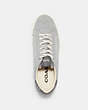COACH®,CLIP LOW TOP SNEAKER,Suede,Washed Steel,Inside View,Top View