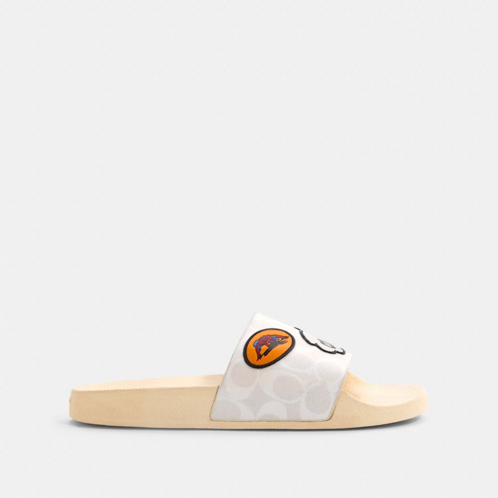 Coach marvel slides new arrivals