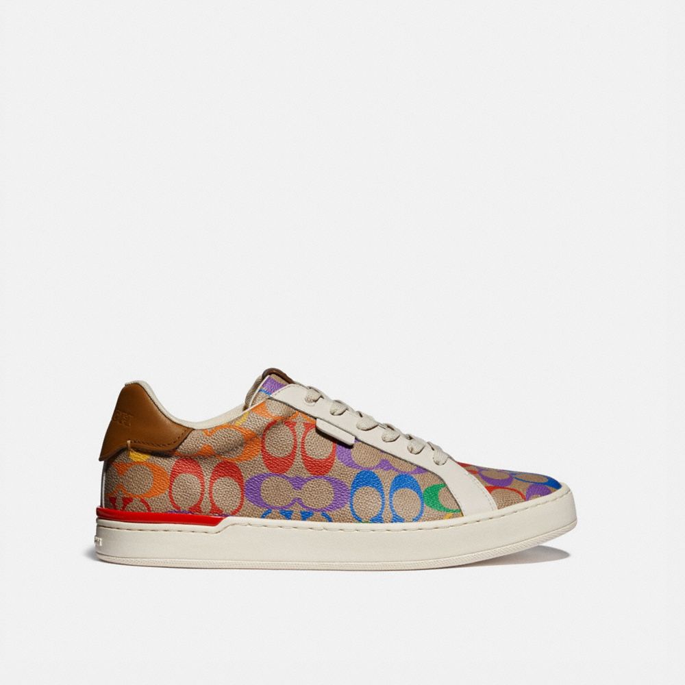 Lowline Low Top Sneaker In Rainbow Signature Canvas